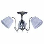 Потолочная люстра Omnilux Leonessa 1 OML-29127-03