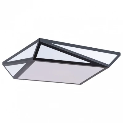 Накладной светильник Arte Lamp Multi-piazza A1929PL-1BK