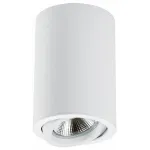 Накладной светильник Lightstar Rullo 214406 Цвет арматуры Белый Цвет плафонов Белый от ImperiumLoft