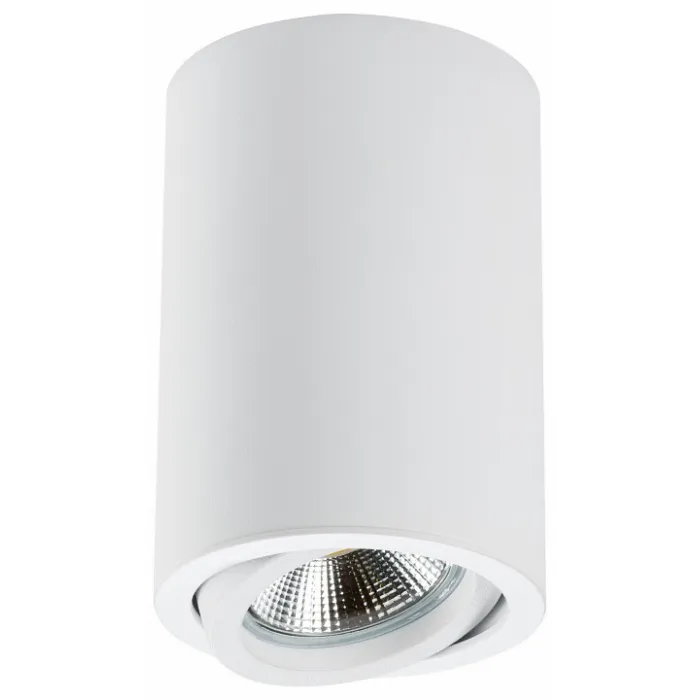 Накладной светильник Lightstar Rullo 214406 Цвет арматуры Белый Цвет плафонов Белый от ImperiumLoft