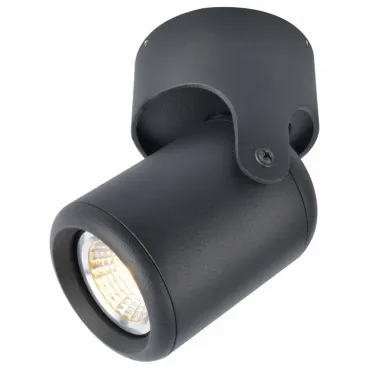 Светильник на штанге Arte Lamp 3316 A3316PL-1BK Цвет арматуры черный Цвет плафонов черный