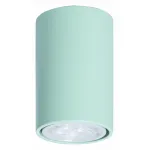 Накладной светильник TopDecor Tubo 6 Tubo6 P1 30 Цвет арматуры зеленый