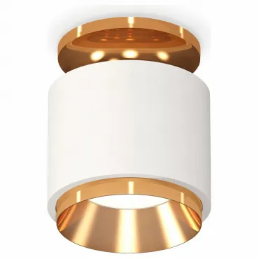 Накладной светильник Ambrella Techno 287 XS7510120 Цвет арматуры золото Цвет плафонов золото от ImperiumLoft