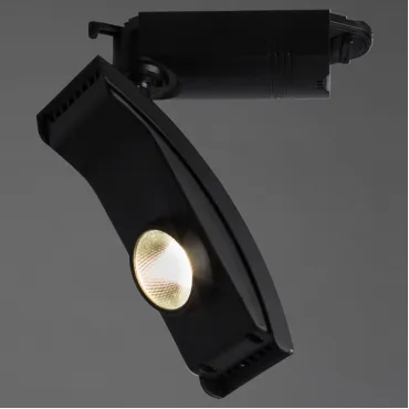 Светильник на штанге Arte Lamp Track Lights A2120PL-1BK Цвет арматуры черный Цвет плафонов черный
