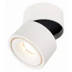 Светильник на штанге ST-Luce ST652 ST652.532.12 Цвет арматуры Белый Цвет плафонов Белый от ImperiumLoft