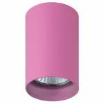 Накладной светильник Lightstar Rullo 214432 Цвет арматуры розовый Цвет плафонов розовый от ImperiumLoft