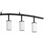 Подвесной светильник Lightstar Rullo LR735365
