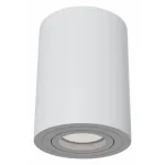 Накладной светильник Maytoni Alfa C016CL-01W Цвет арматуры белый от ImperiumLoft