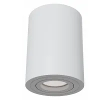 Потолочный светильник Technical C016CL-01W