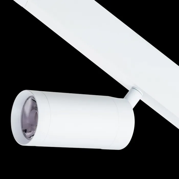 Светильник на штанге Lightstar Teta 205026 от ImperiumLoft