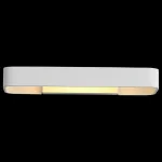 Накладной светильник ST-Luce Listelli SL454.501.01 от ImperiumLoft