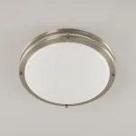 Накладной светильник Citilux Бостон CL709321N