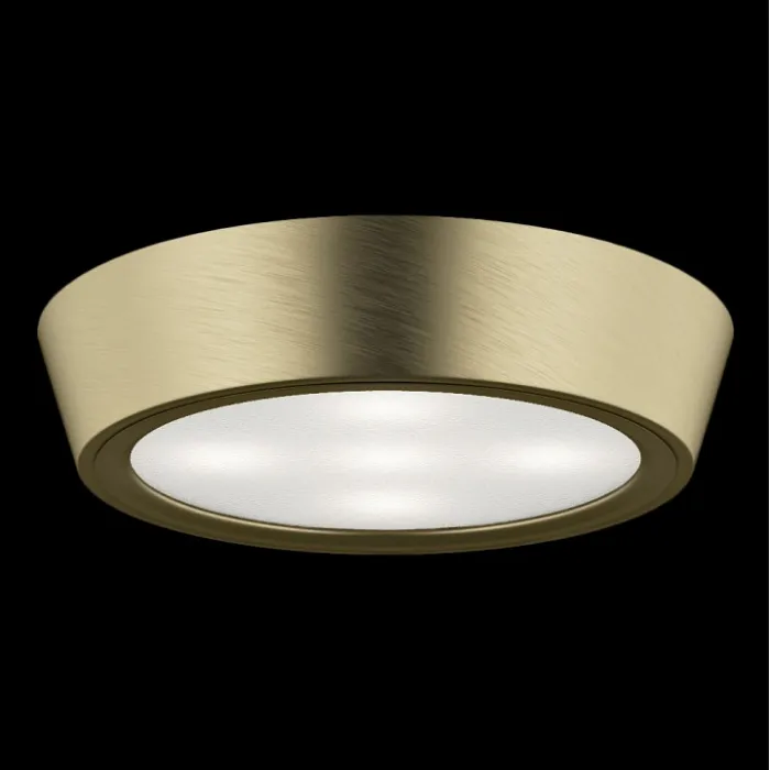 Накладной светильник Lightstar Urbano 214914 Цвет арматуры бронза от ImperiumLoft