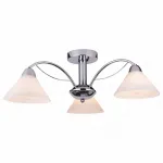 Потолочная люстра Arte Lamp Federica A1298PL-3CC 