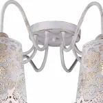 Потолочная люстра Arte Lamp 2032 A2032PL-8WG 