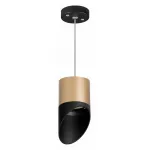 Подвесной светильник Lightstar Rullo RP349087