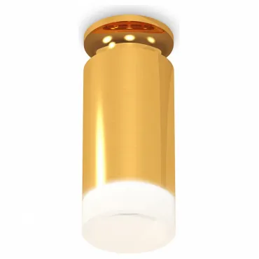 Накладной светильник Ambrella Techno Spot 306 XS6327082 Цвет арматуры золото Цвет плафонов золото
