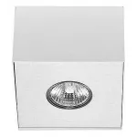 Накладной светильник Nowodvorski Carson White 5573 Цвет арматуры белый