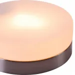 Накладной светильник Globo Opal 48401 Цвет арматуры никель от ImperiumLoft