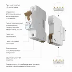 Автоматический выключатель 1P Werkel Автоматические выключатели W901P104 от ImperiumLoft