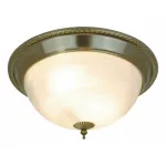 Потолочный светильник Arte Lamp Porch A1305PL-2AB 