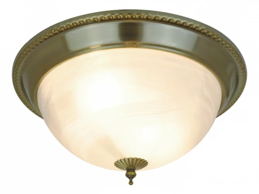 Потолочный светильник Arte Lamp Porch A1305PL-2AB 