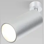 Спот Elektrostandard Diffe Diffe серебро 15W 4200K (85266/01)