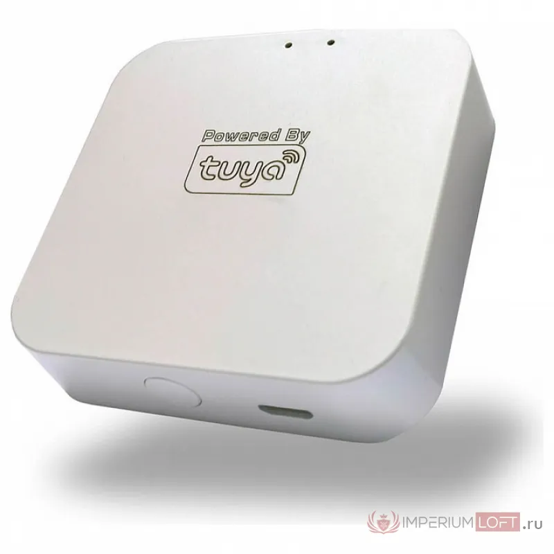Конвертер Wi-Fi для смартфонов и планшетов Denkirs DK7400 DK7400-WF Цвет арматуры белый от ImperiumLoft
