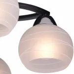 Потолочная люстра TopLight Philomena TL3730X-06BC 