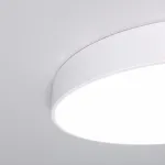 Накладной светильник Eurosvet Entire 90319/1 белый от ImperiumLoft