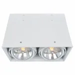 Накладной светильник Arte Lamp Cardani A5936PL-2WH Цвет арматуры белый Цвет плафонов белый
