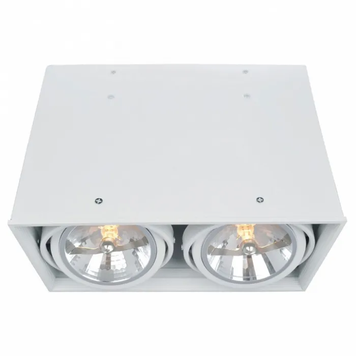 Накладной светильник Arte Lamp Cardani A5936PL-2WH Цвет арматуры белый Цвет плафонов белый от ImperiumLoft