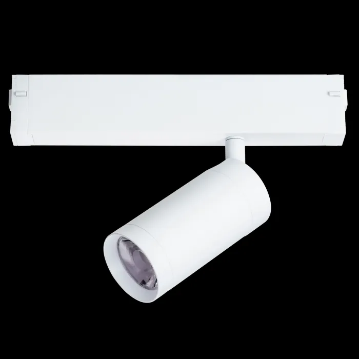 Светильник на штанге Lightstar Teta 205026 от ImperiumLoft