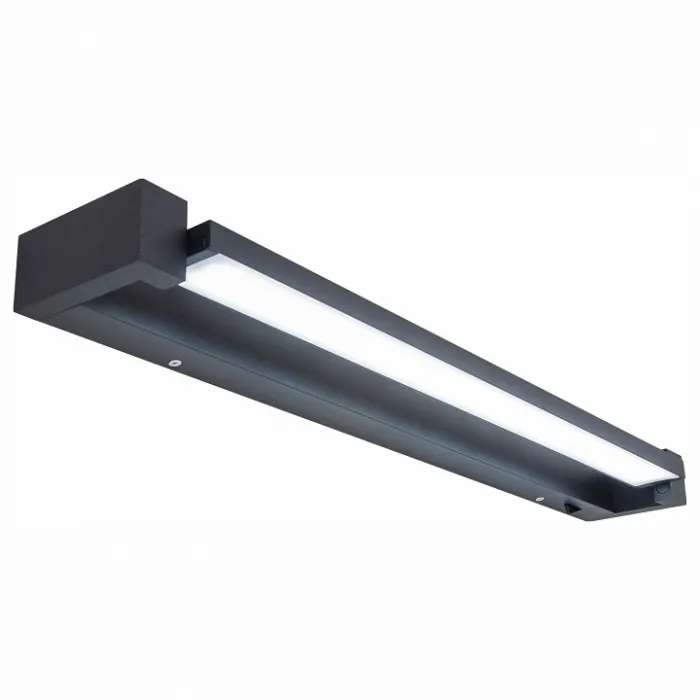 Подсветка для зеркала Citilux Визор CL708261N Цвет арматуры черный Цвет плафонов белый от ImperiumLoft