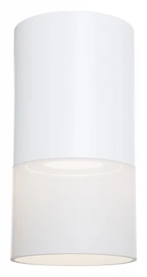 Потолочный светильник Technical C007CW-01W