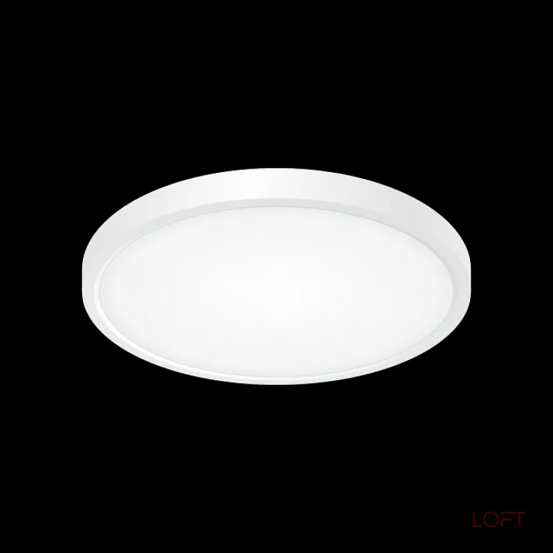 Потолочный светильник Citilux Бейсик CL738240V Потолочный светильник Citilux Бейсик CL738240V