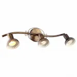 Спот Arte Lamp Focus A5219PL-3BR Цвет арматуры коричневый Цвет плафонов коричневый от ImperiumLoft