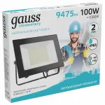 Настенно-потолочный прожектор Gauss Elementary 613100110 Цвет плафонов прозрачный