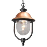Подвесной светильник MW-Light Дубай 805010401 Цвет арматуры медь Цвет плафонов прозрачный от ImperiumLoft