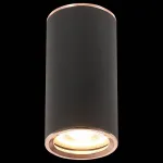 Накладной светильник ST-Luce Chomus ST111.427.01 Цвет плафонов золото