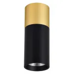 Накладной светильник Favourite Deepak 3074-1C