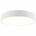 Потолочный светильник Citilux Тао CL712240N 