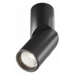 Настенный светильник Maytoni Dafne C027CL-L10B4K