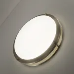 Накладной светильник Citilux Бостон CL709321N
