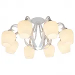 Потолочная люстра TopLight Abegail TL1133-8D 