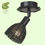 Спот Lussole Ancona GRLSN-1011-01 от ImperiumLoft