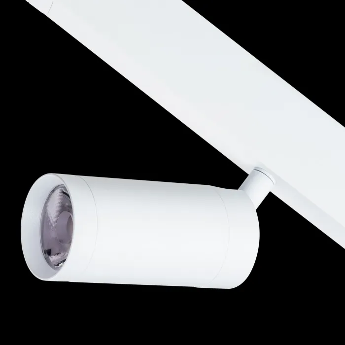 Светильник на штанге Lightstar Teta 205026 от ImperiumLoft