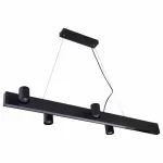 Подвесной светильник Vele Luce Chela 742 VL10142P24 от ImperiumLoft