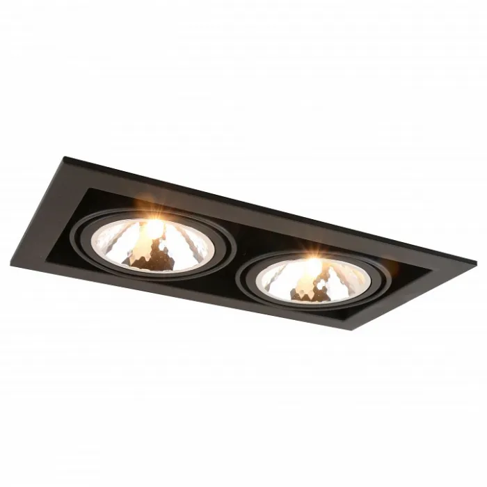 Встраиваемый светильник Arte Lamp Cardani A5949PL-2BK Цвет арматуры черный от ImperiumLoft