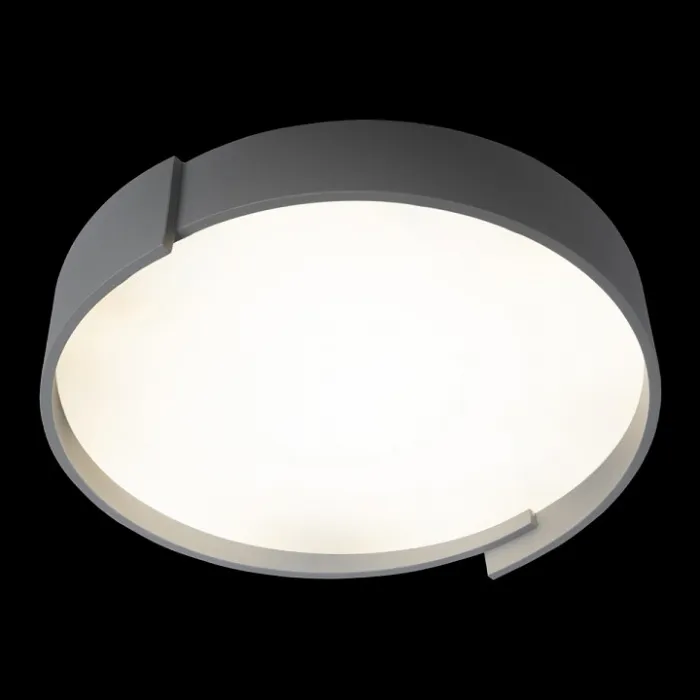 Накладной светильник Loft it Coin 10200 Grey от ImperiumLoft